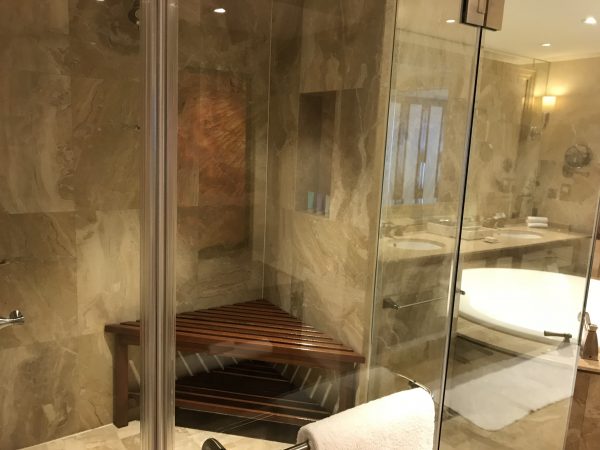 King Premier Suite shower