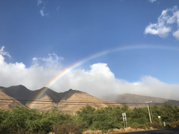Maui Hawaii