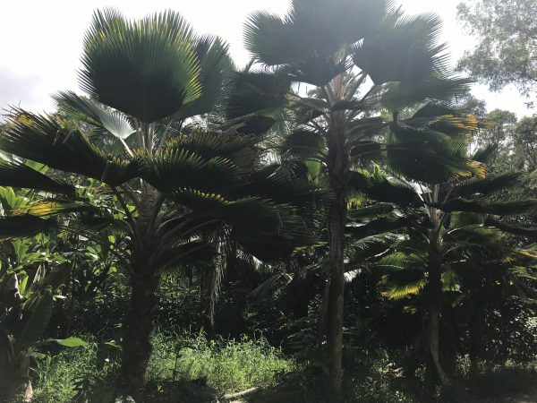 Maui Hawaii